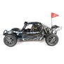 1/5 Rampage Chimera 4X4 Gas Sand Rail RTR