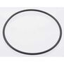 Back Plate O-Ring: DLE-20