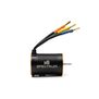 Firma 3652 3800Kv 4-Pole Brushless Motor: Promoto-MX/SM