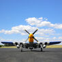 P-51D Mustang 1.5m BNF Basic Combo