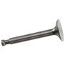 Valve Exhaust: FS-120 Surpass