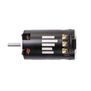 Firma 3662 4700Kv 4-Pole Sensored Brushless Motor: 5mm