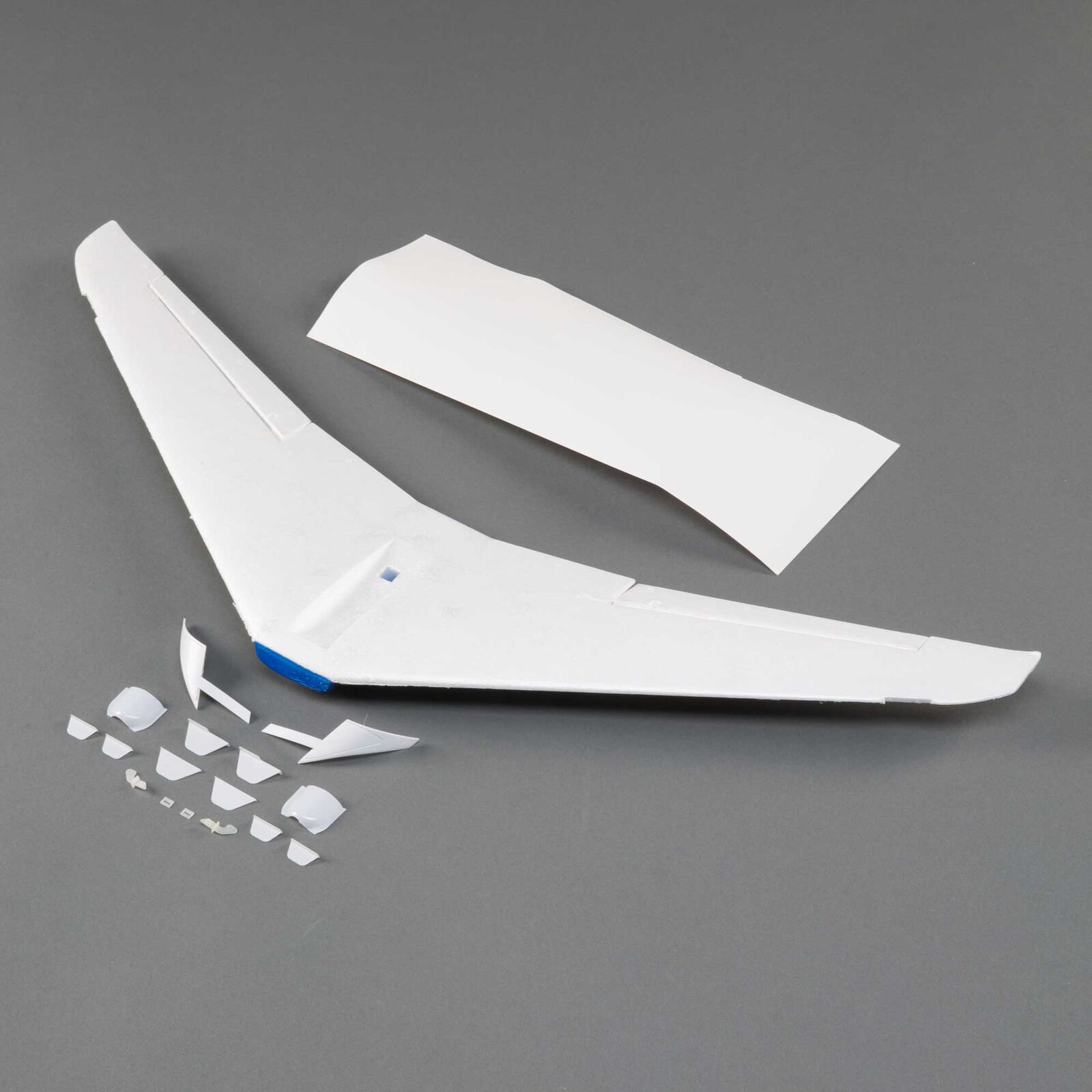 Painted Wing: Citation Longitude