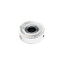 Taper Collet & Drive Flange: BZ