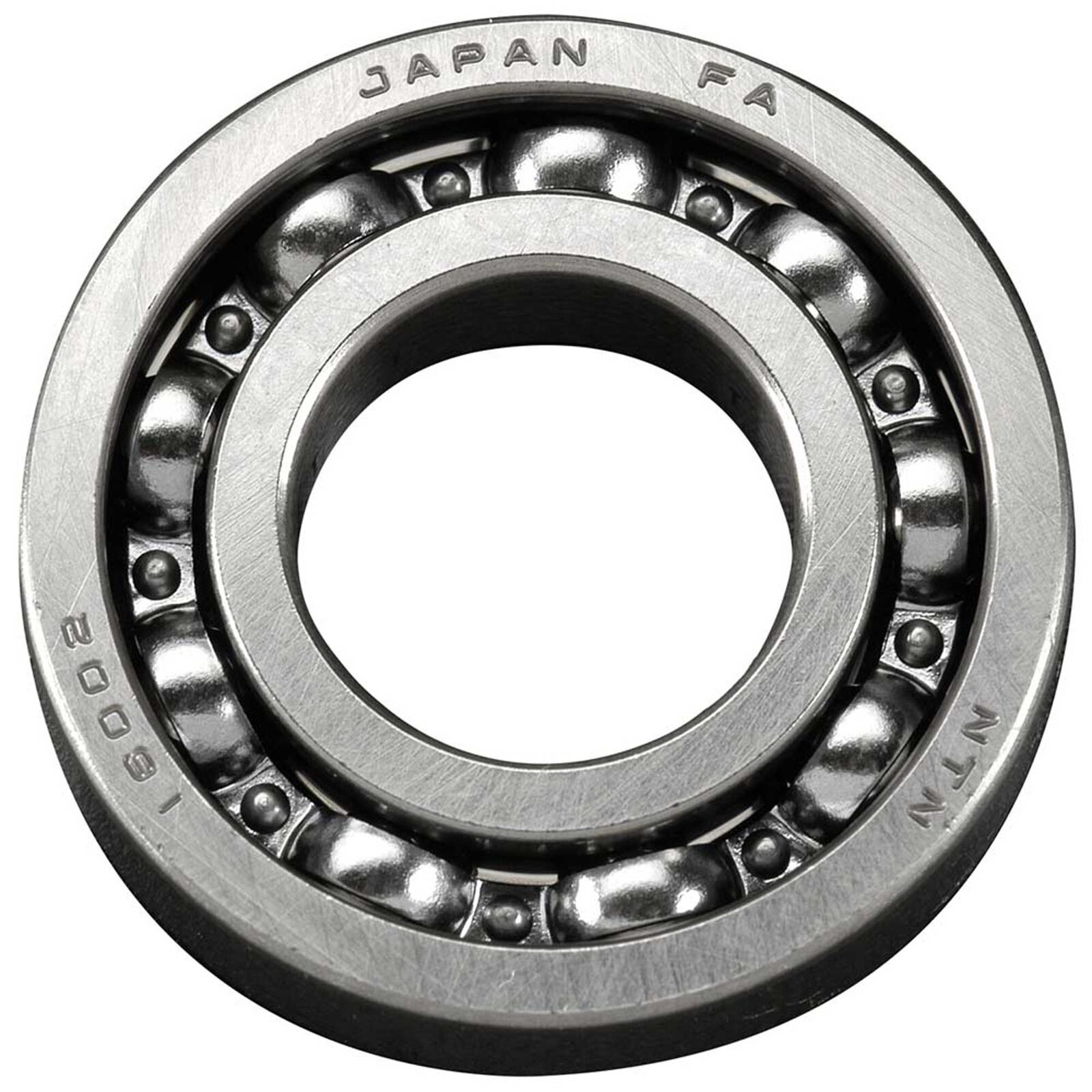 Rear Bearing: FS-61