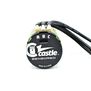 4-Pole Sensored Brushless Motor, 2028-1700Kv