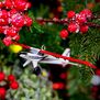 E-flite Turbo Timber Evolution Tree Ornament 2022