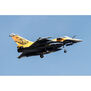 Rafale 80mm EDF Jet PNP
