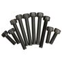 Screw Set (10): 21XM