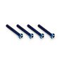 3x22mm Top Hat Titanium screw, burnt blue - 4pc