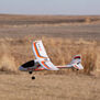 Mini AeroScout RTF