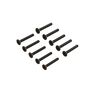 Flat Head Screw M1.6x12mm (10)