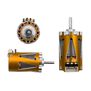 Hellfire 1410 5500Kv Sensored Brushless Motor, Gold