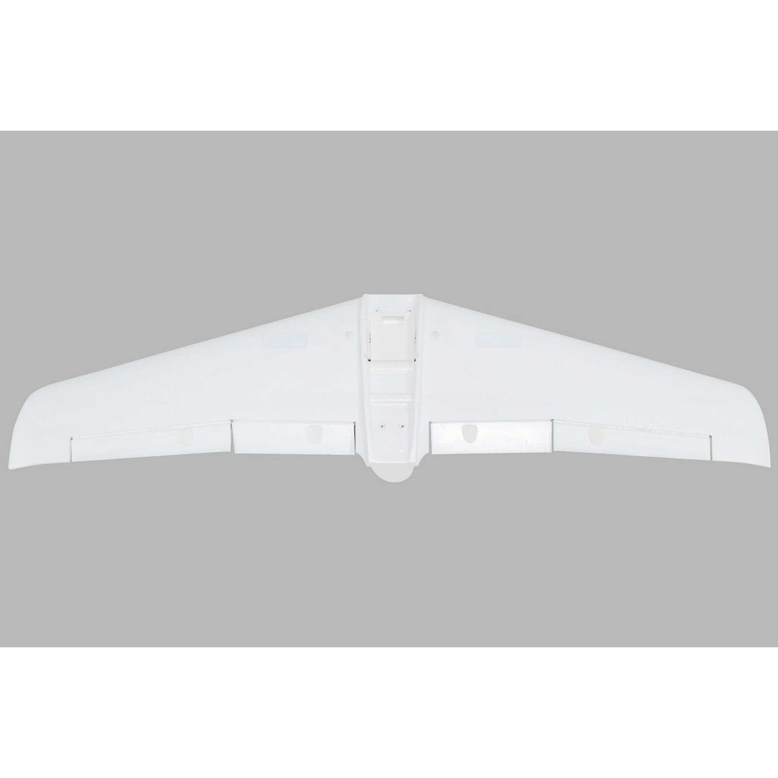 Painted Wing  V1200