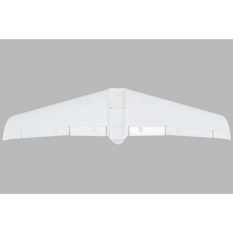 Painted Wing  V1200