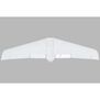 Painted Wing  V1200
