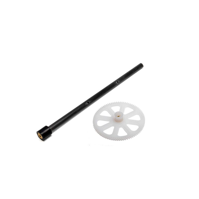 Outer shaft; mCX