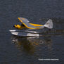 Carbon Cub S 2 1.3m RTF with SAFE