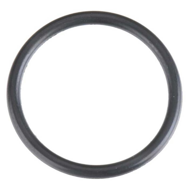 O-Ring: 21TM