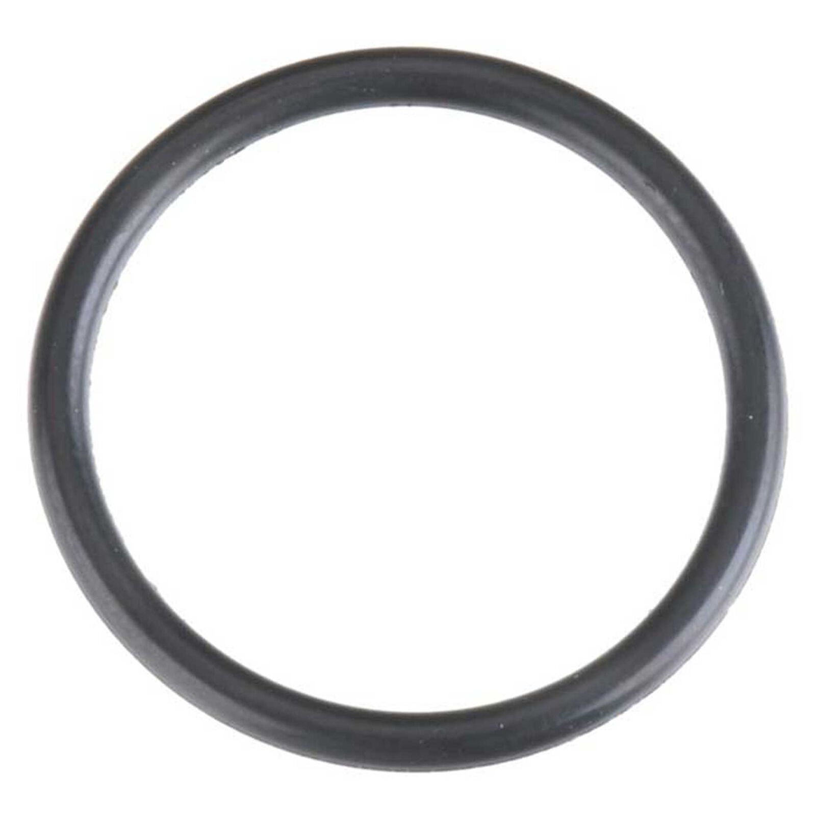 O-Ring: 21TM