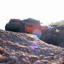 1/8 Kaiju 4X4 6S Brushless Monster Truck RTR, Copper