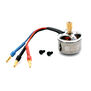Brushless Main Motor: 180 CFX, 150 S